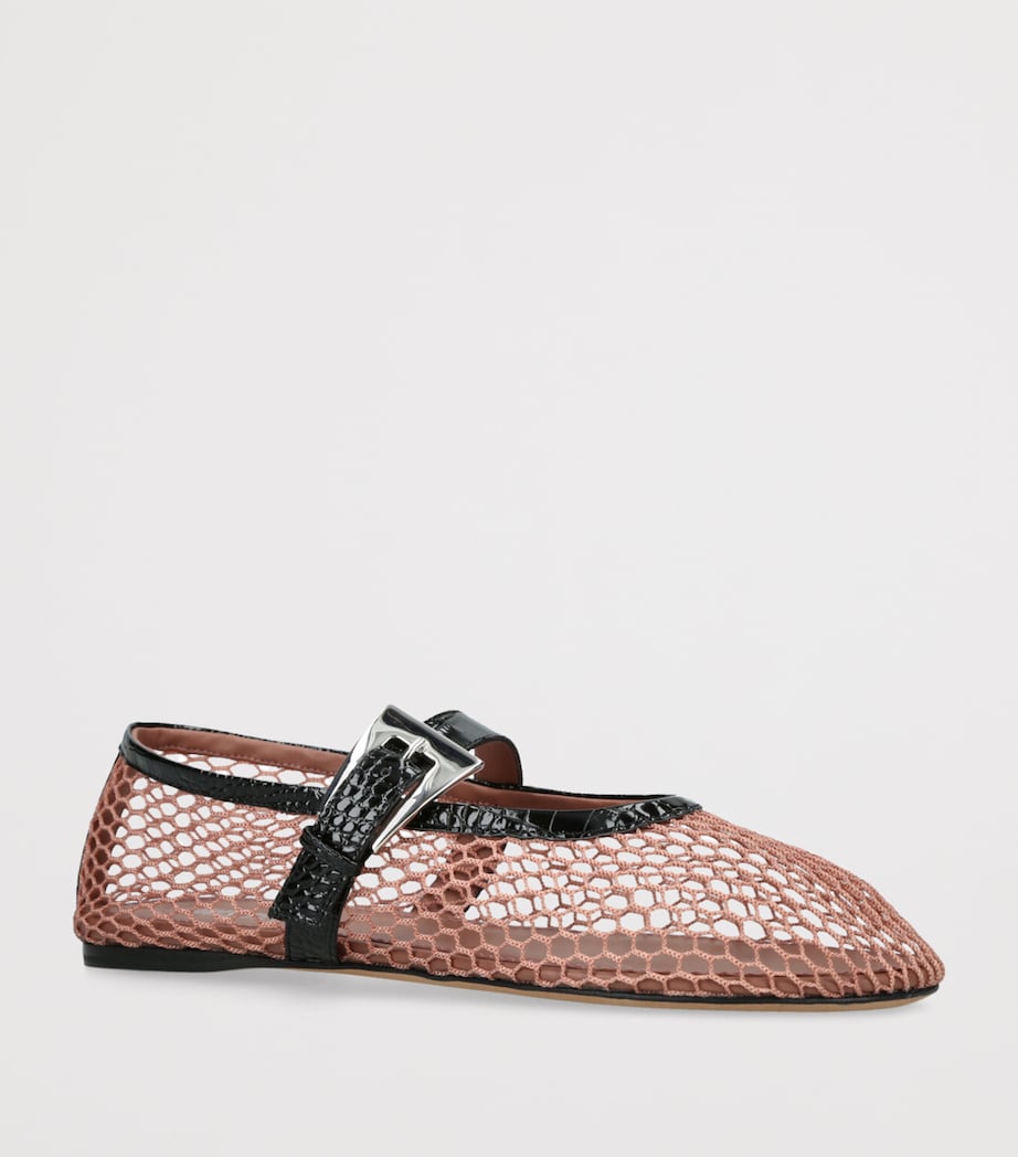 Mesh Sveva Ballet Flats PINK COMB Image 3