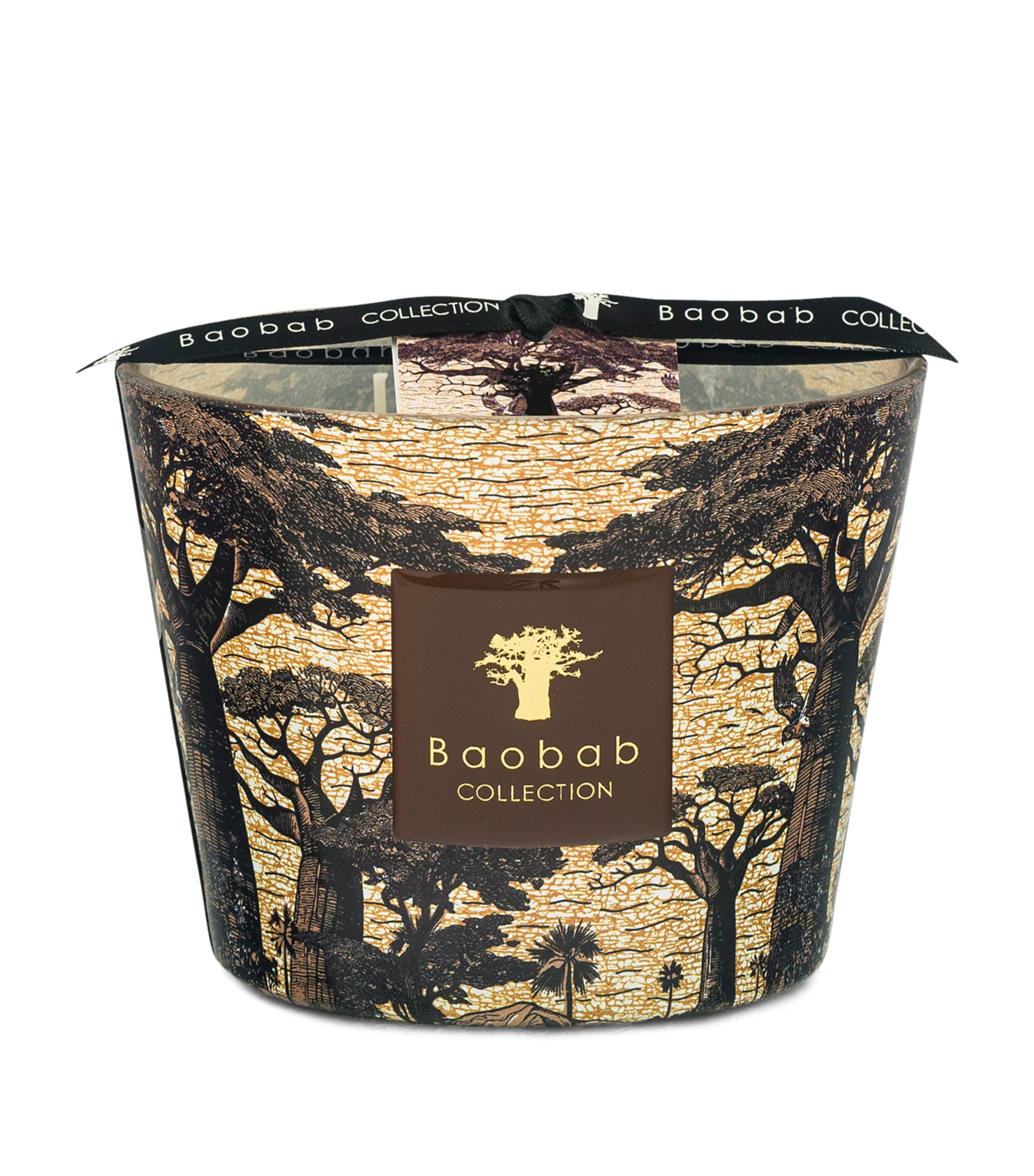 Baobab Collection Sacred Trees Mankono Candle In Brown