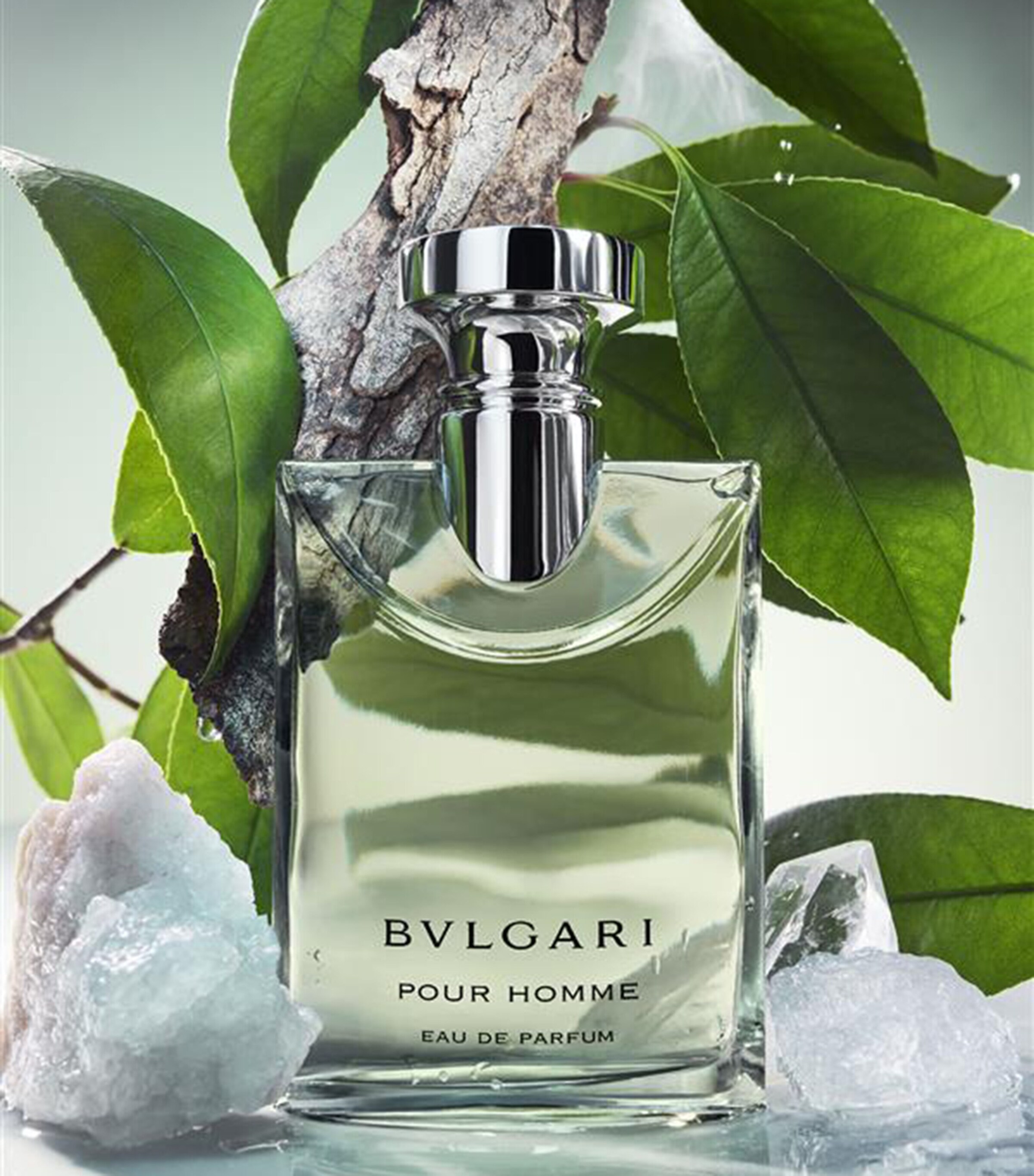 Bvlgari Pour Homme by Bvlgari 100ml EDP — Perfume NZ