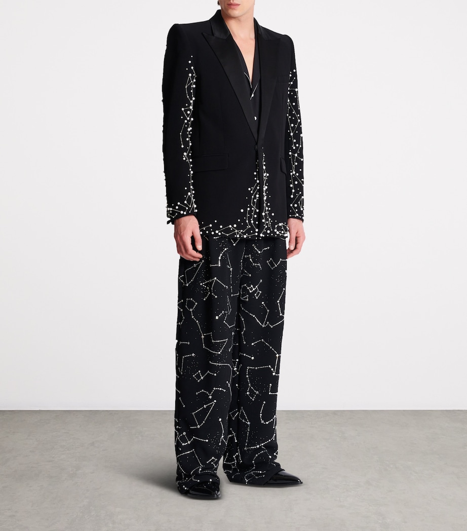 Embroidered Single-Breasted Blazer EAW NOIR/CRISTAL Image 7