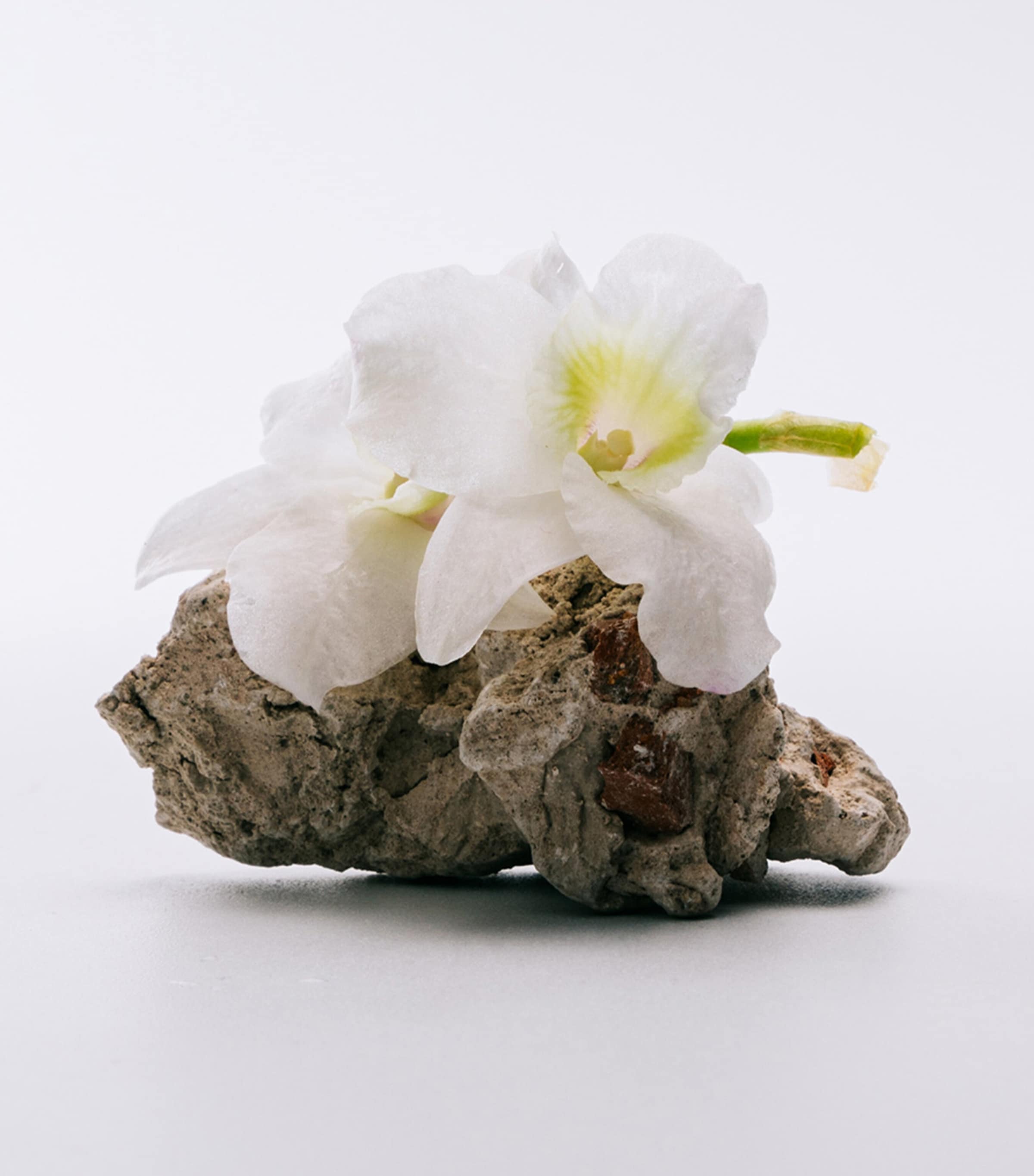 Aire Eau de Toilette (100ml) NO COLOUR Image 3