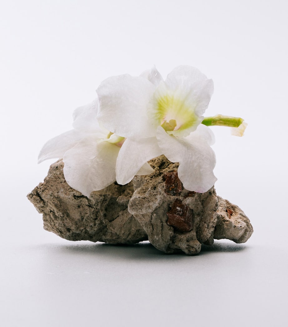 Aire Eau de Toilette (100ml) NO COLOUR Image 3