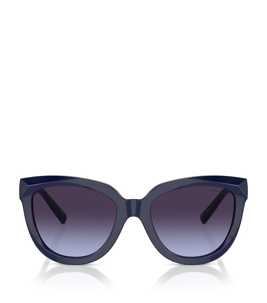 Acetate Cat Eye Sunglasses 83964Q Image 1