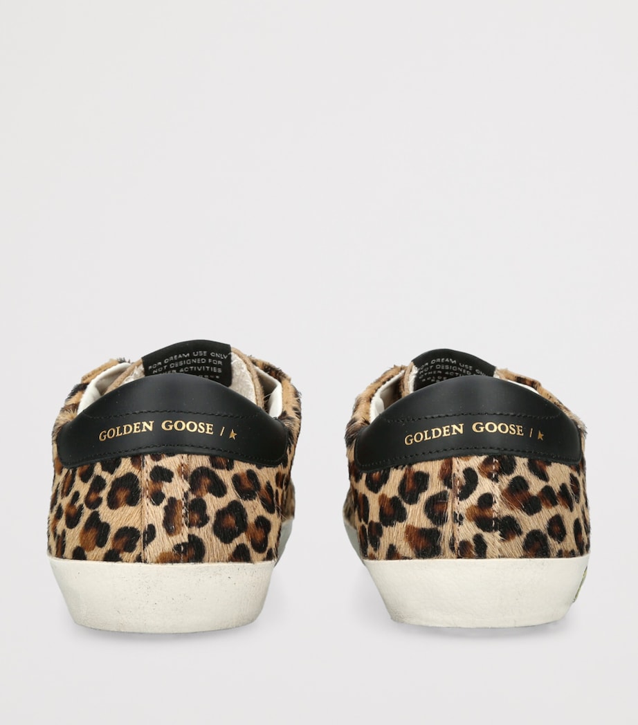 Pony Skin Leopard Print Super-Star Sneakers BROWN/OTH Image 2