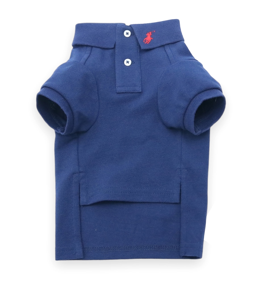 Ralph Lauren Cotton Mesh Dog Polo Shirt (Extra Extra Small) Classic Navy Image 1