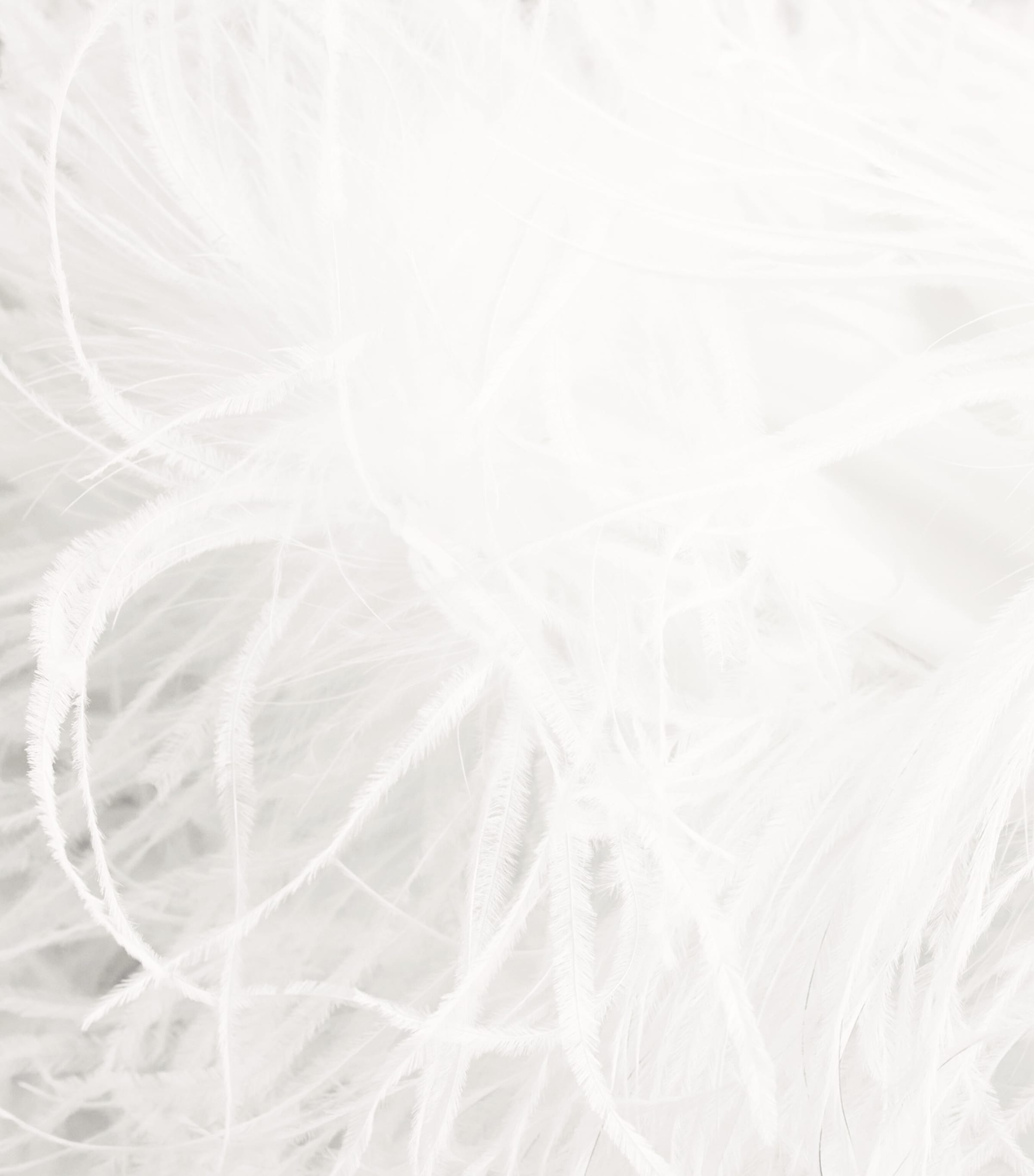 Oséree Womens Feather Mini Dress Pearl Image 6