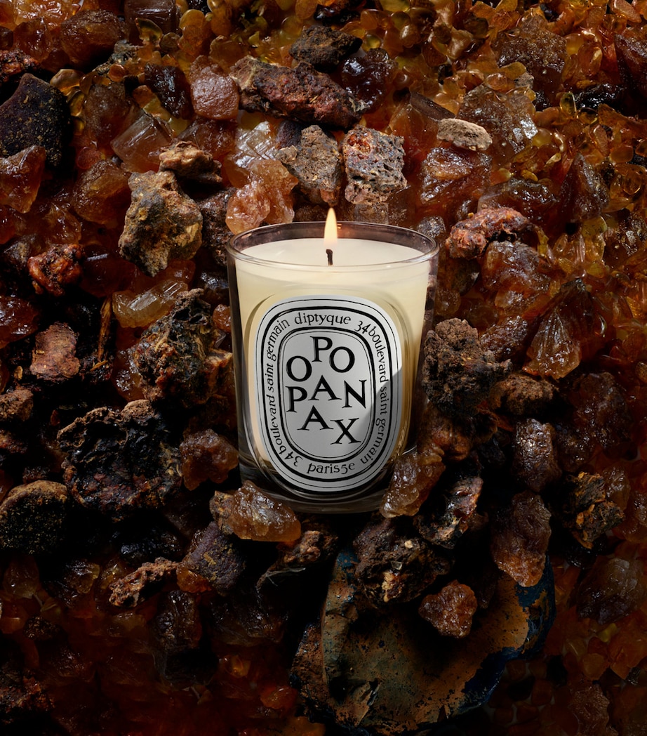 Diptyque Opopanax Candle (190g) Image 3