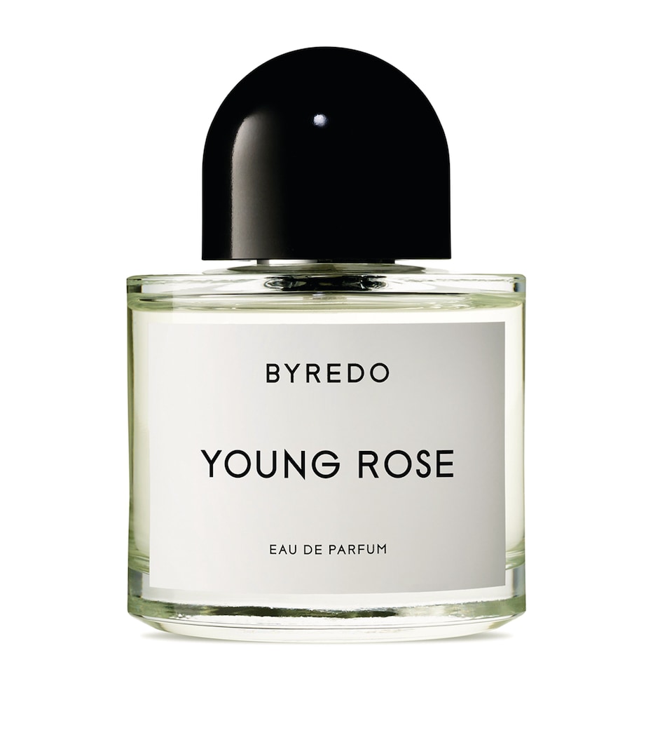 Young Rose Eau de Parfum (100ml) NO COLOUR Image 1