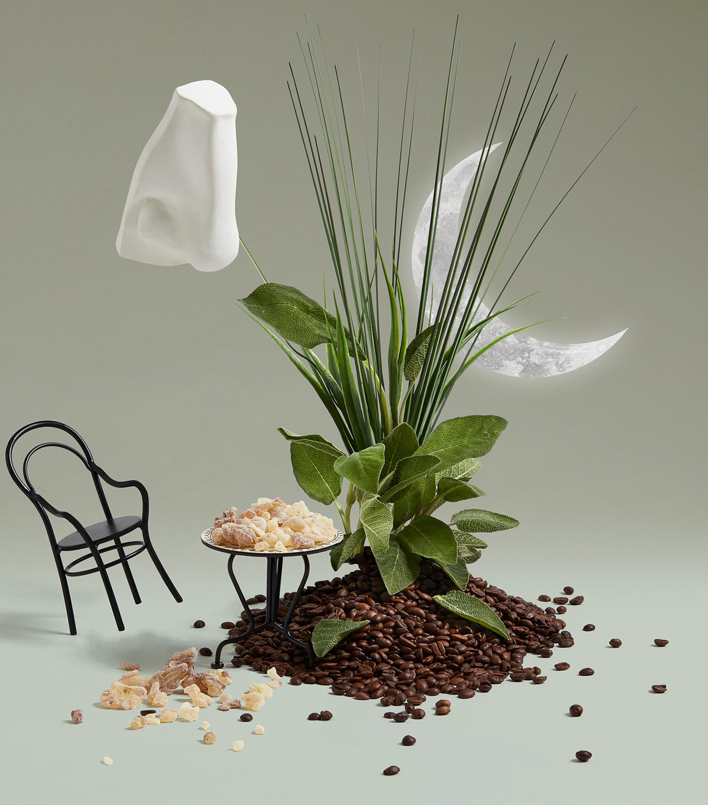 Penhaligon's Endymion Eau de Cologne (100ml) Image 3