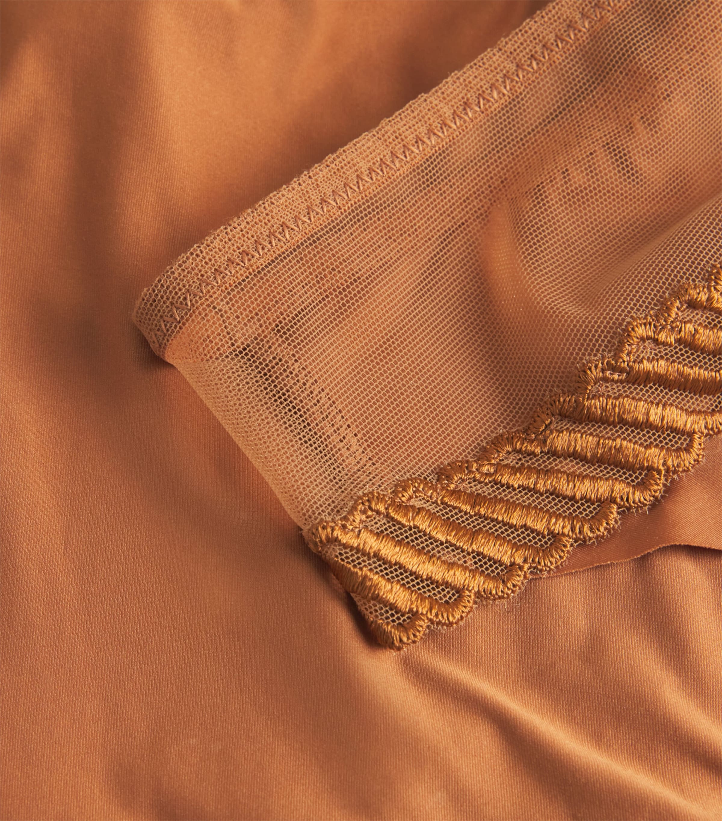 Sheer Emotion Brazilian Briefs HONEY Image 4