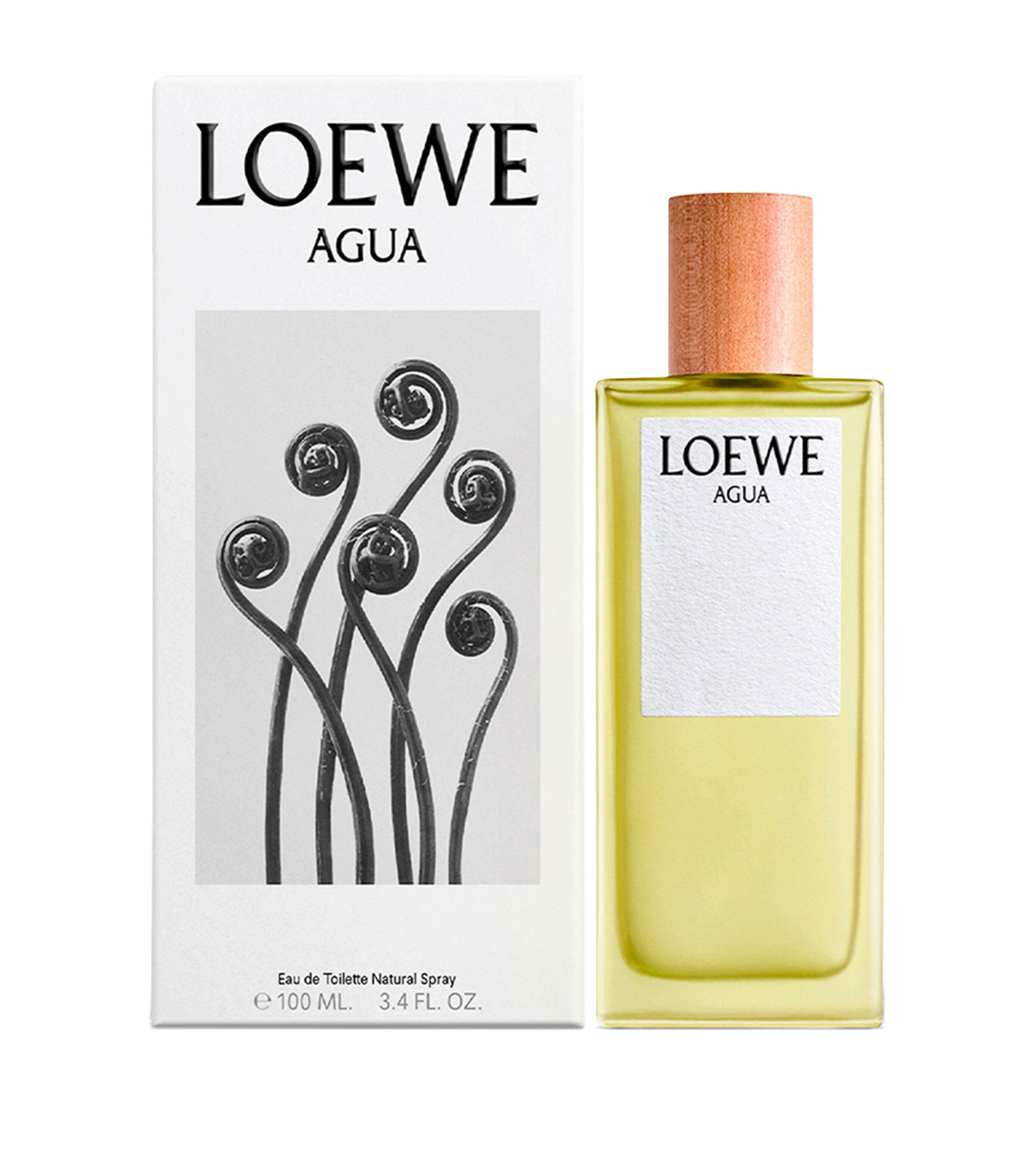 Agua Eau de Toilette (100ml) NO COLOUR Image 3
