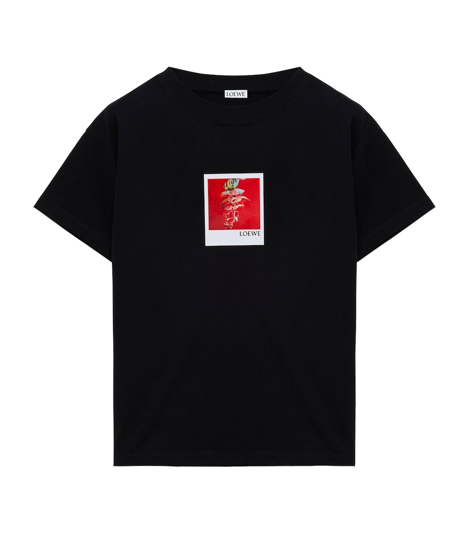 LOEWE Womens Stretch-Cotton Polaroid T-Shirt Black Image 1