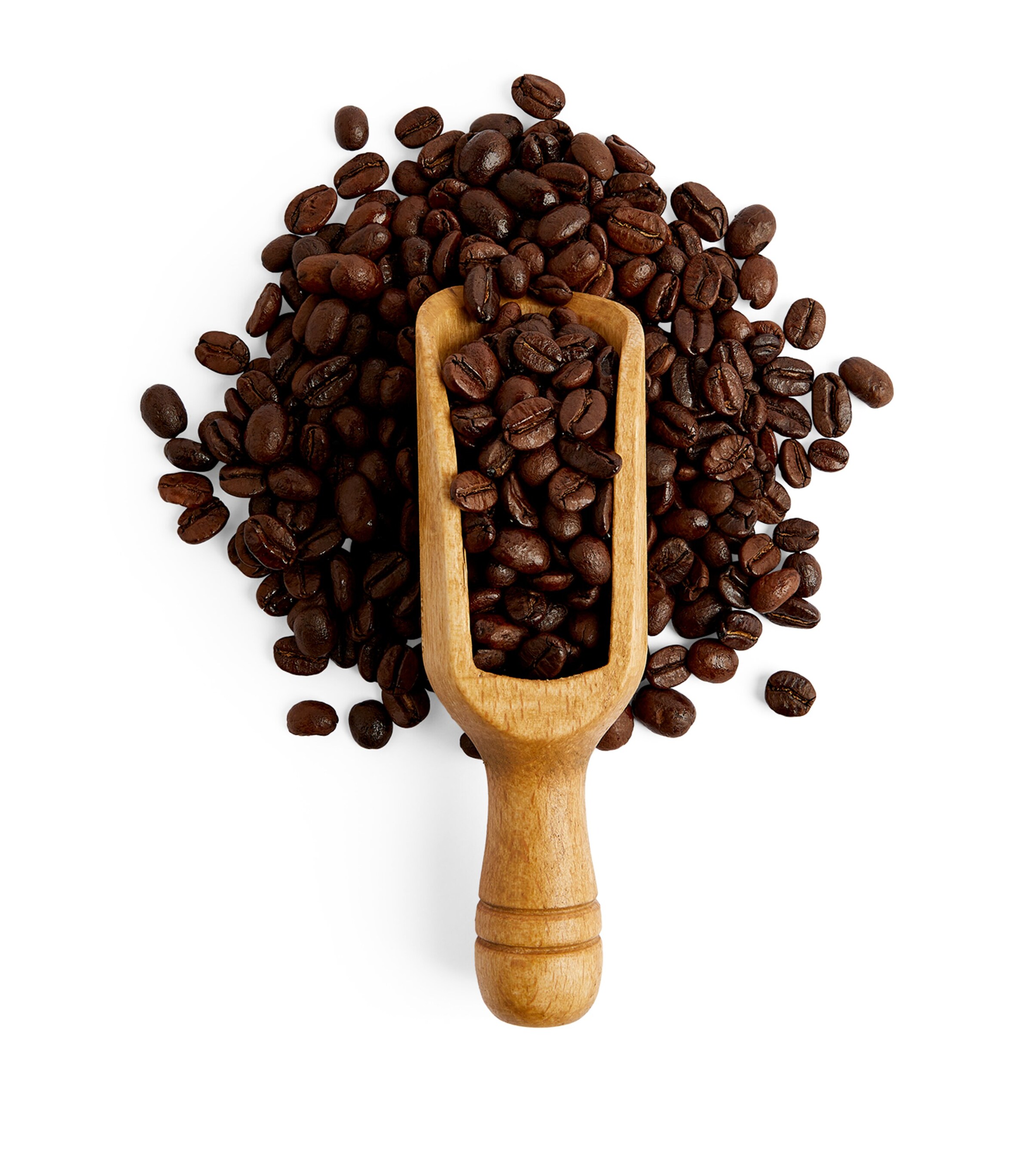 Harrods Wild Kopi Luwak Coffee Beans (250g) Image 2