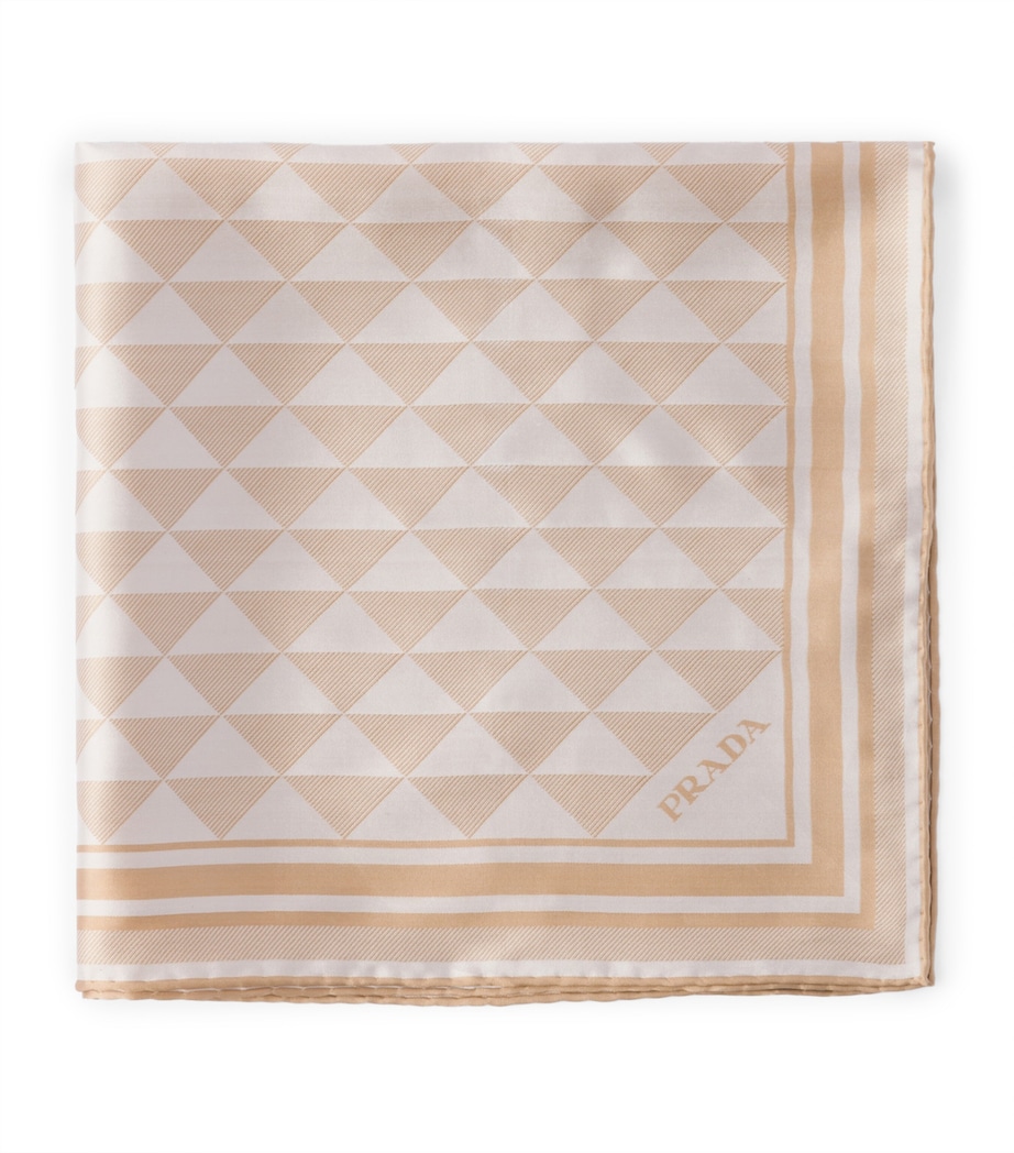 Silk Triangle Scarf F045Y Image 1