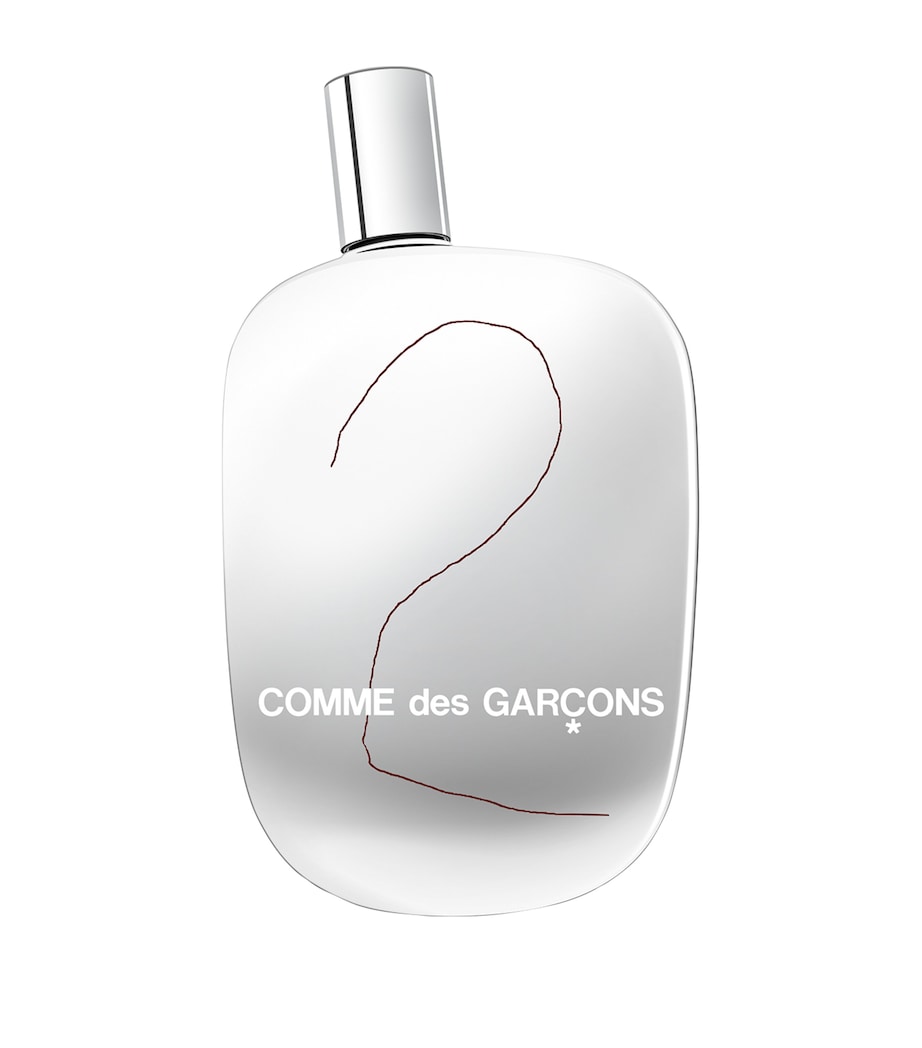 CDG 2 Eau de Parfum (100ml) MULTI Image 1