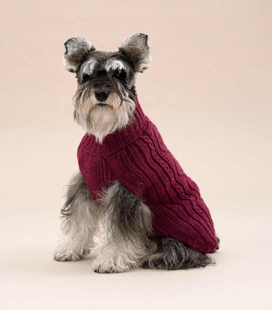 ALQO WASI Alpaca-Blend Aran Knit Dog Sweater (XX-Small) Red Wine Image 2