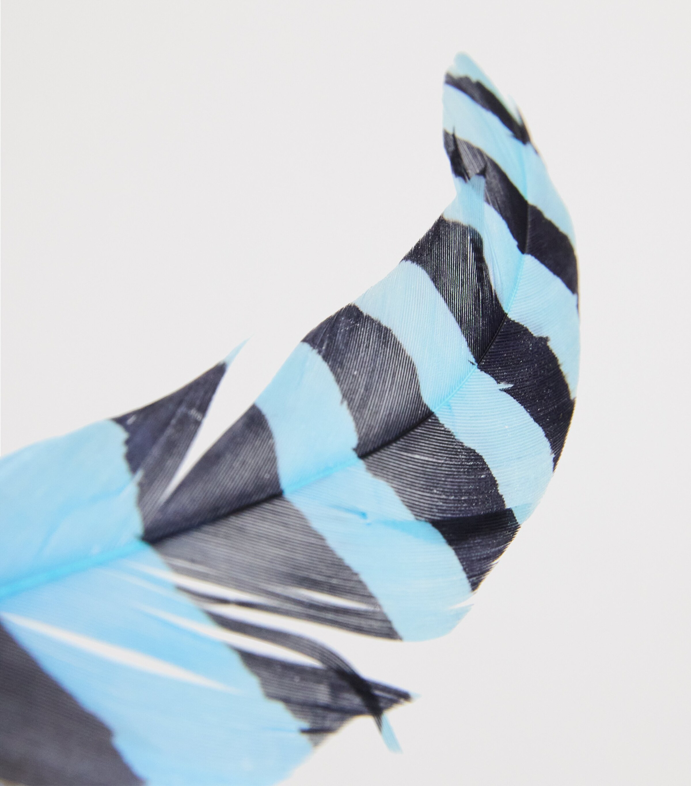 x Ascot Feathered Jacqueline Hat NAVY Image 5