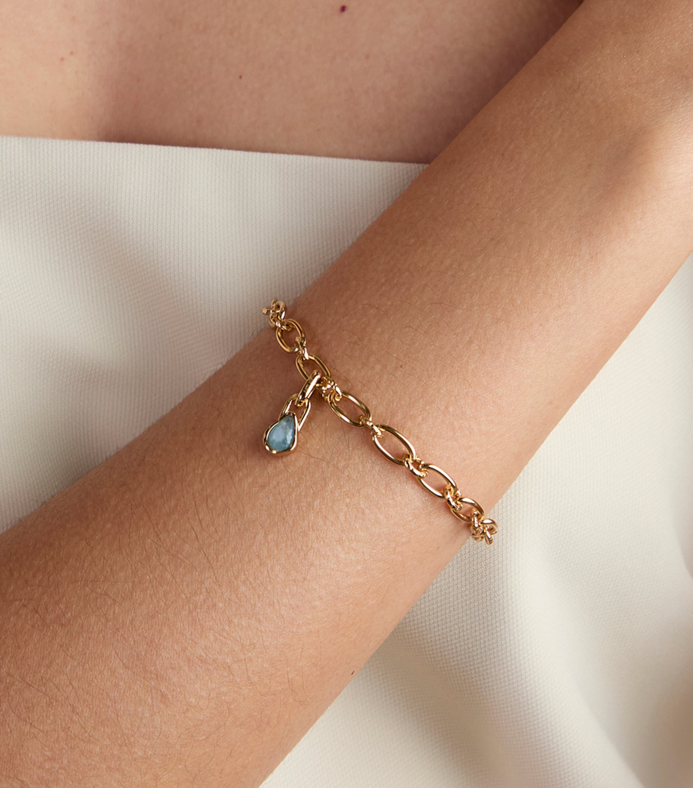 Gold-Plated March Birthstone Charm GOLD Image 2