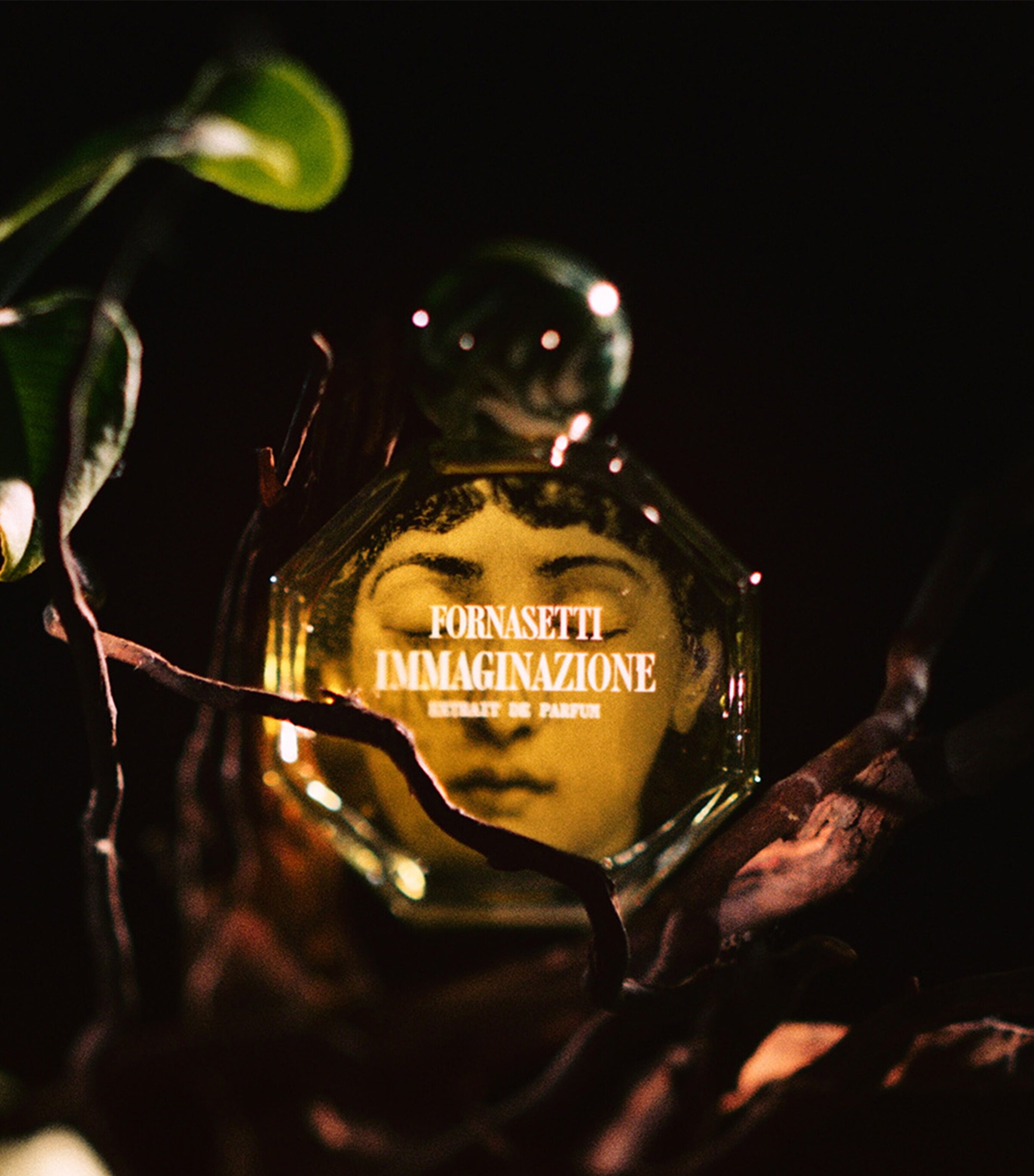 Immaginazione Extrait Parfum (100ml) NO COLOUR Image 6