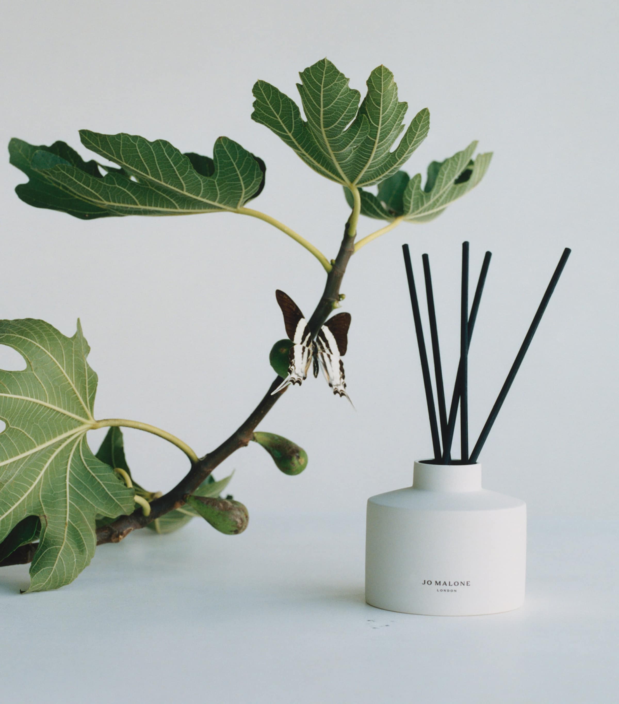 Fresh Fig & Cassis Diffuser and Refill (350ml) NO COLOUR Image 2