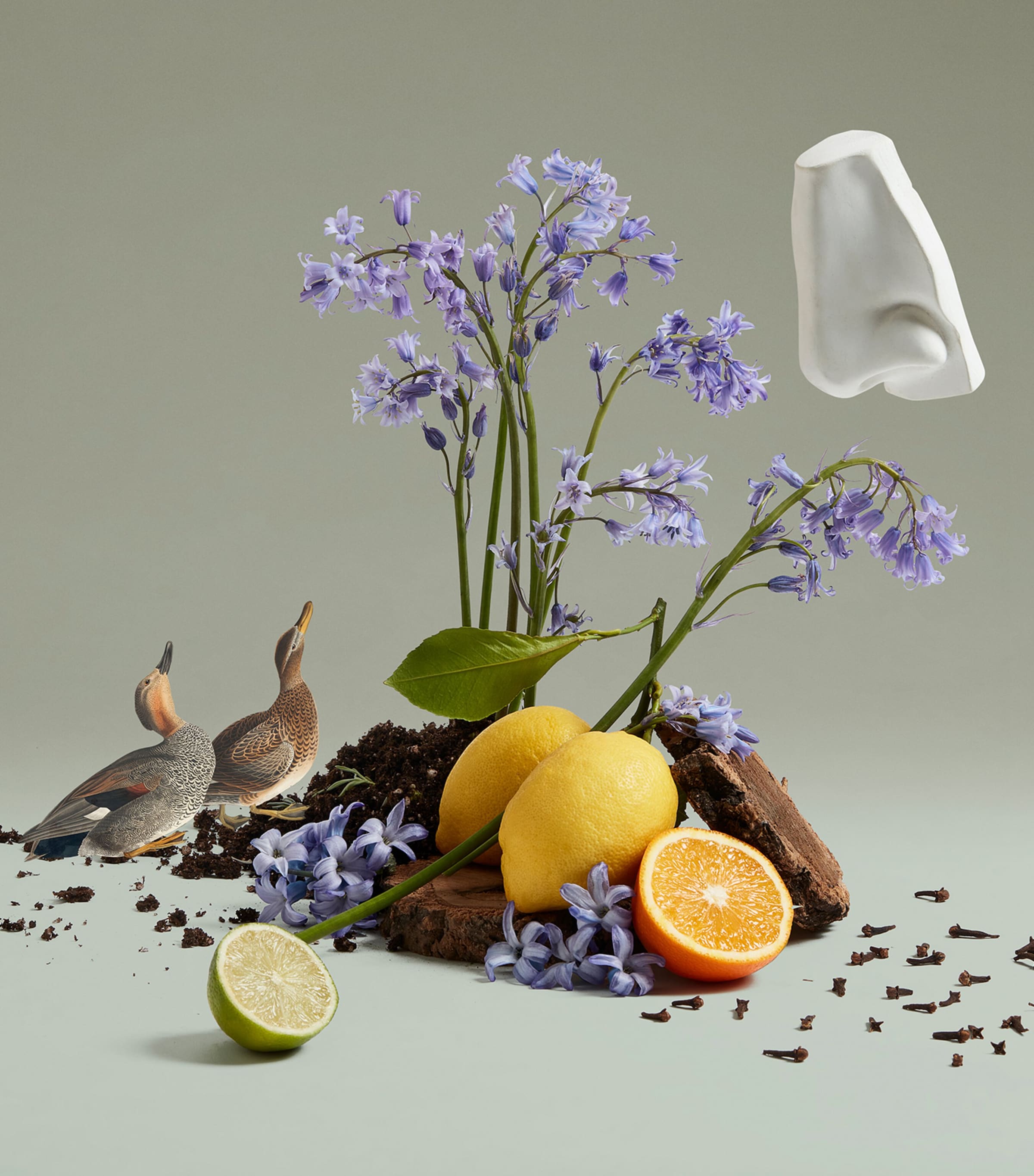 Bluebell Eau de Toilette (100ml) NO COLOUR Image 4