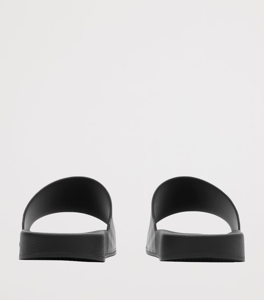 Check Slides LEAF IP CHECK Image 4