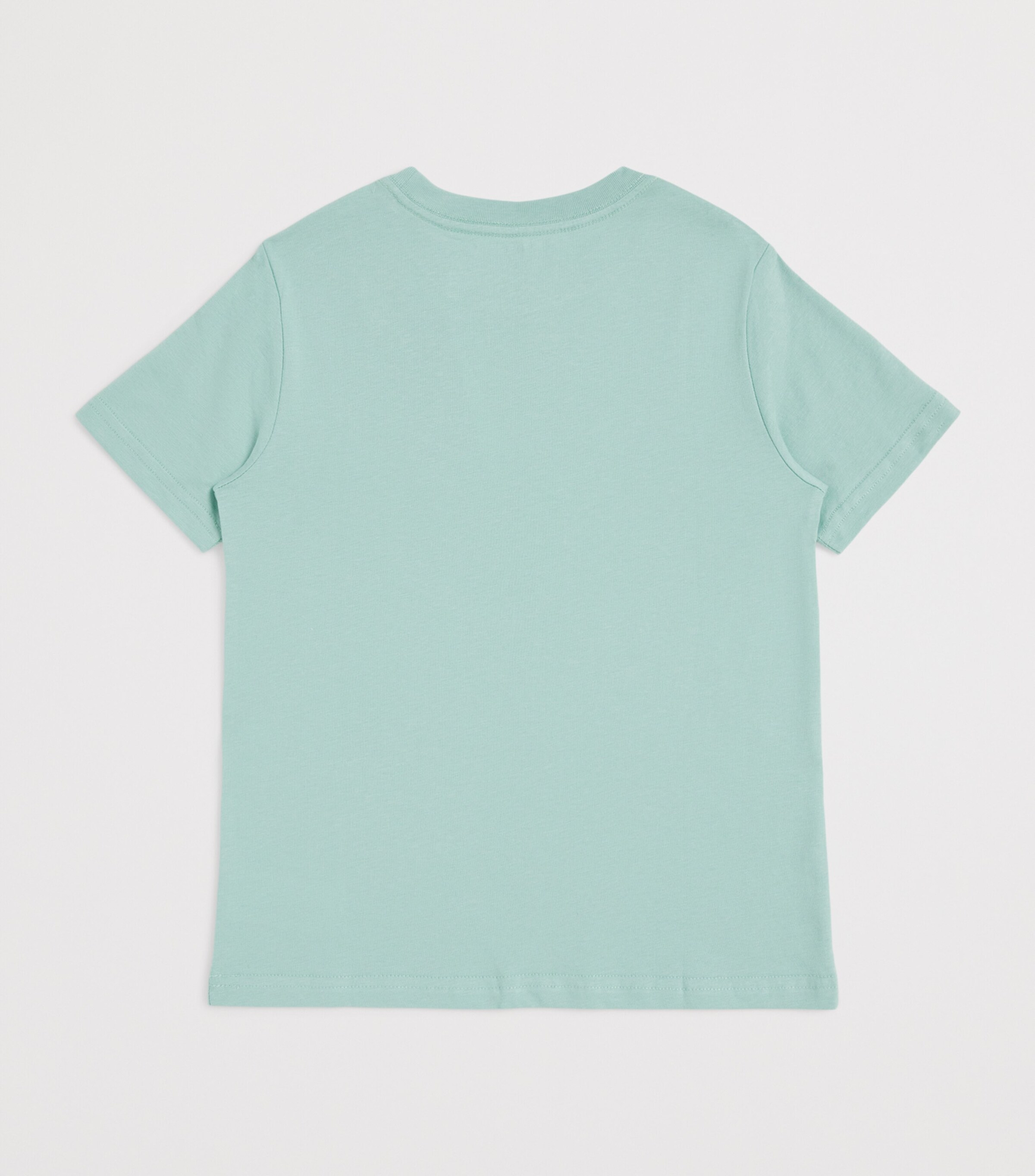 Cotton Jersey Logo T-Shirt (6-14 Years) CELADON Image 2