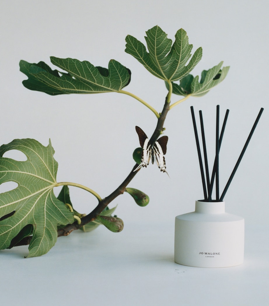 Fresh Fig & Cassis Diffuser (350ml) - Refill NO COLOUR Image 2