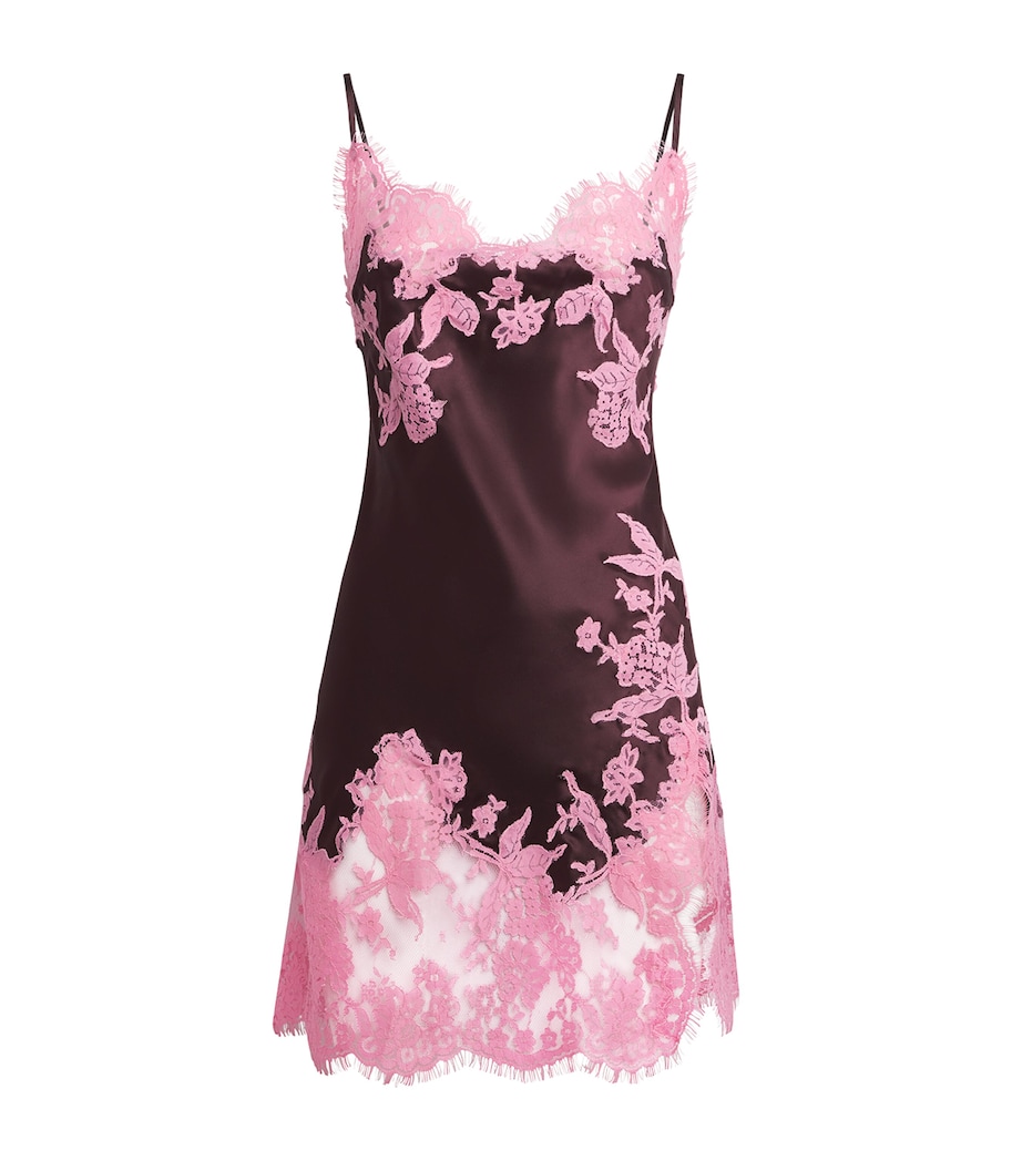 Marjolaine Womens Silk-Lace Mini Slip Dress Brun/blush Image 1