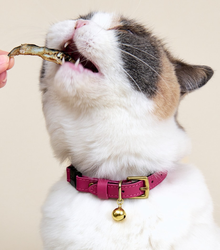 Cheshire & Wain Medium Leather Wonderland Cat Collar Pink Image 5