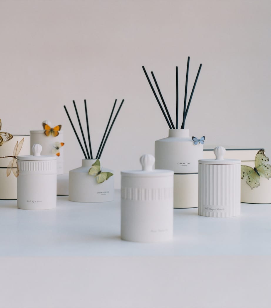 Wild Berry & Bramble Diffuser (350ml) - Refill NO COLOUR Image 3