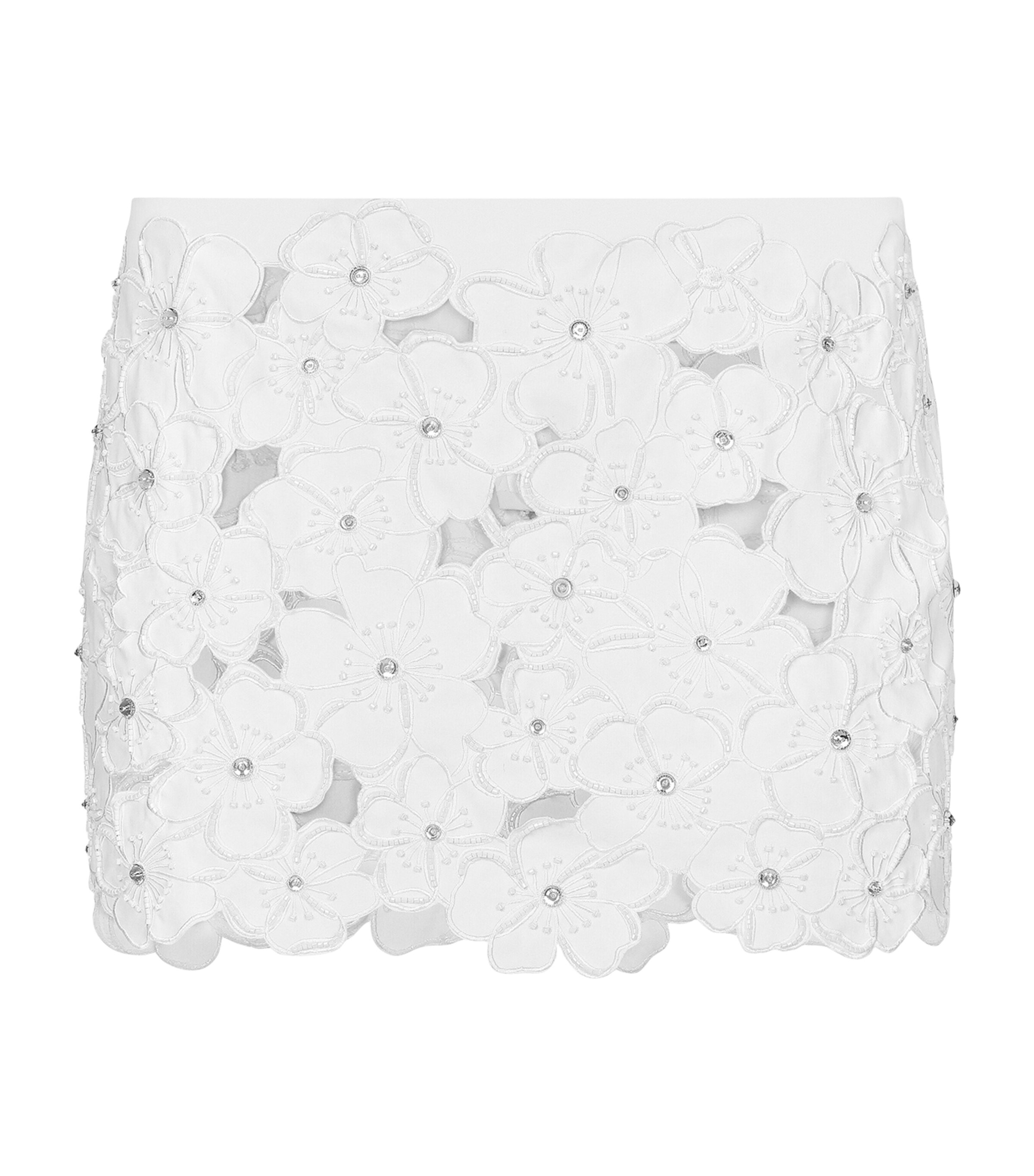 Dolce & Gabbana Floral Embroidery Rhinestone Miniskirt