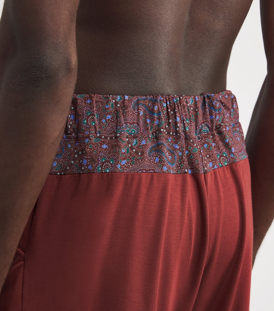Paisley Trim Aristo Shorts CLAA-CLAY/ART STW RD Image 6