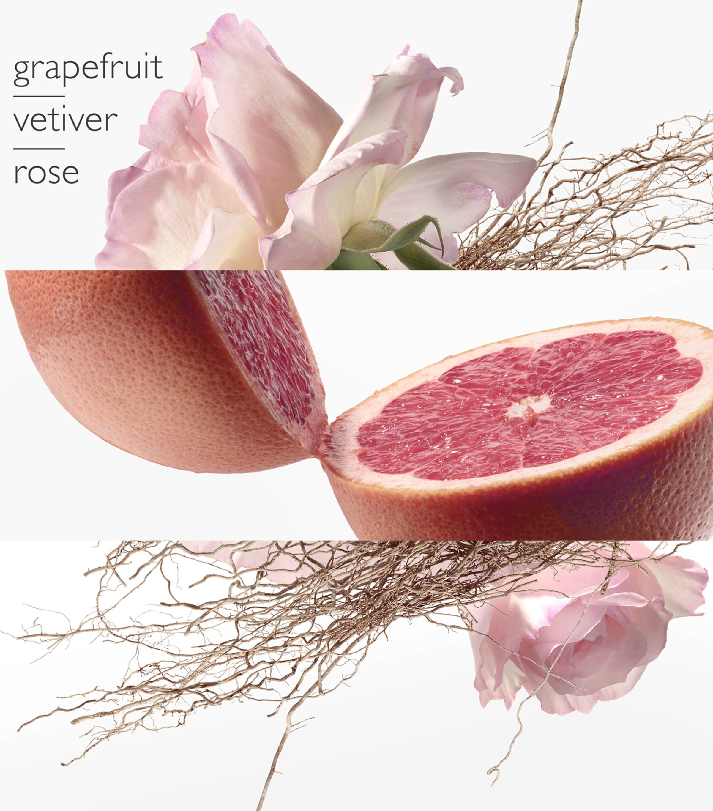 Eau de Pamplemousse Rose Eau de Toilette (100ml) NO COLOUR Image 2