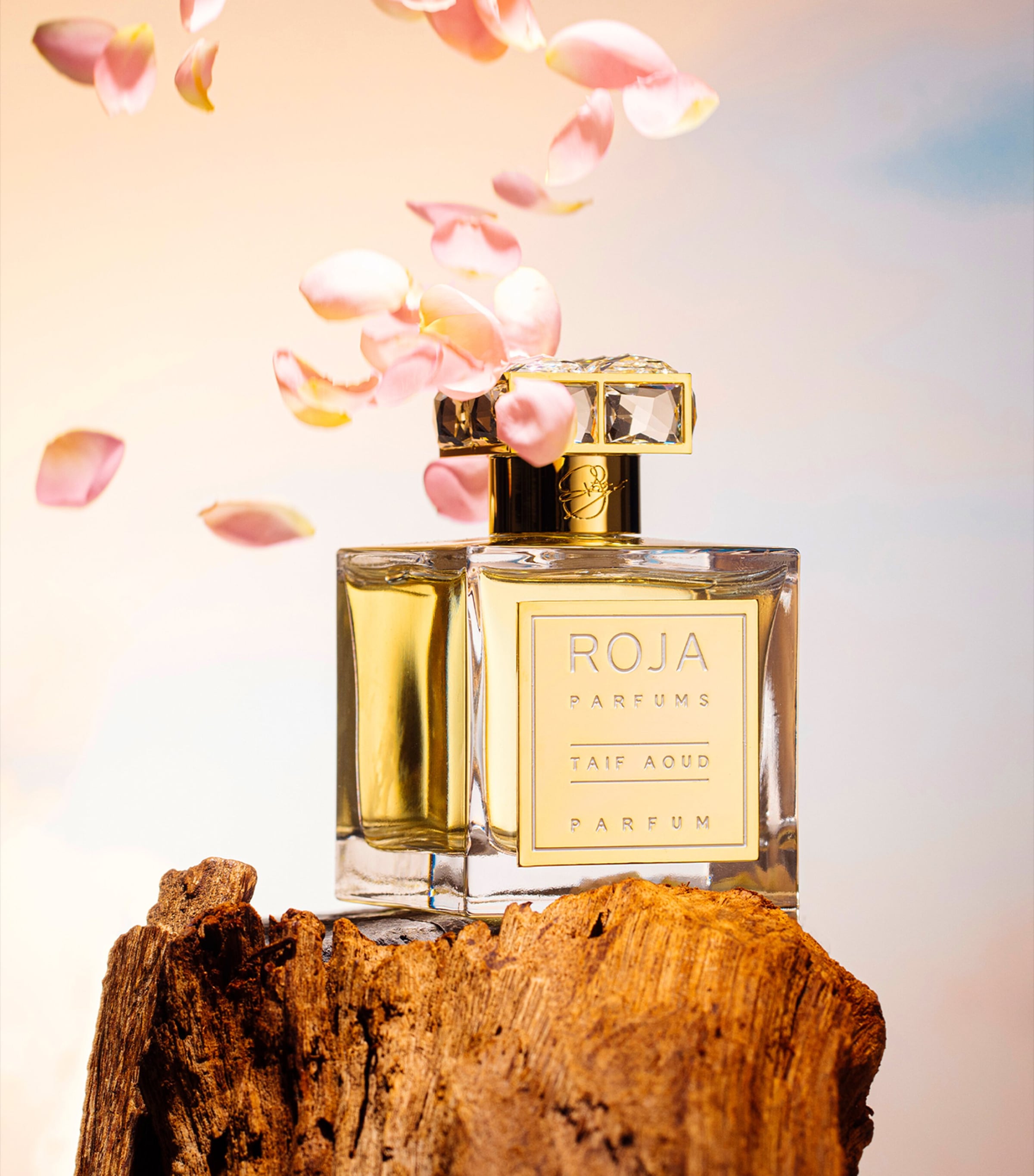 Taif Aoud Parfum (100ml) NO COLOUR Image 4