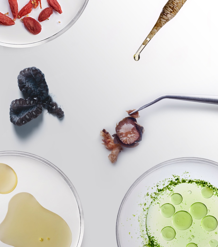 The Absolute Active Replenishing Moisturizer (30 x 0.8ml) NO COLOUR Image 3