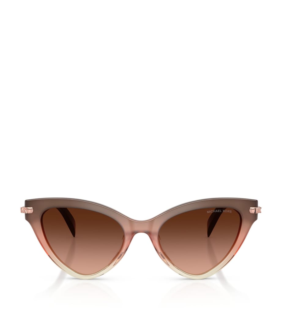 Michael Kors Roanoke Cat Eye Sunglasses Pink Image 1