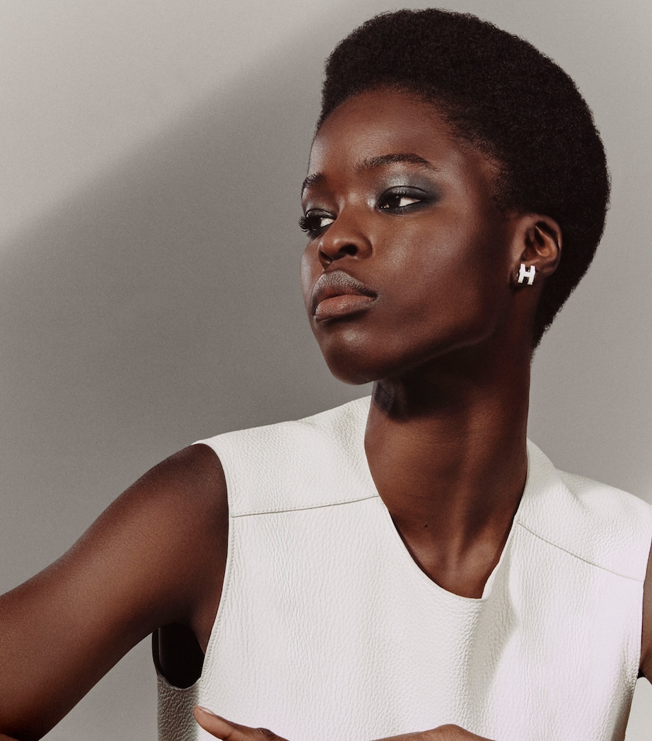 Ombres d'Hermès Eyeshadow Quartet Refill 05 OMBRES FUMEES Image 6