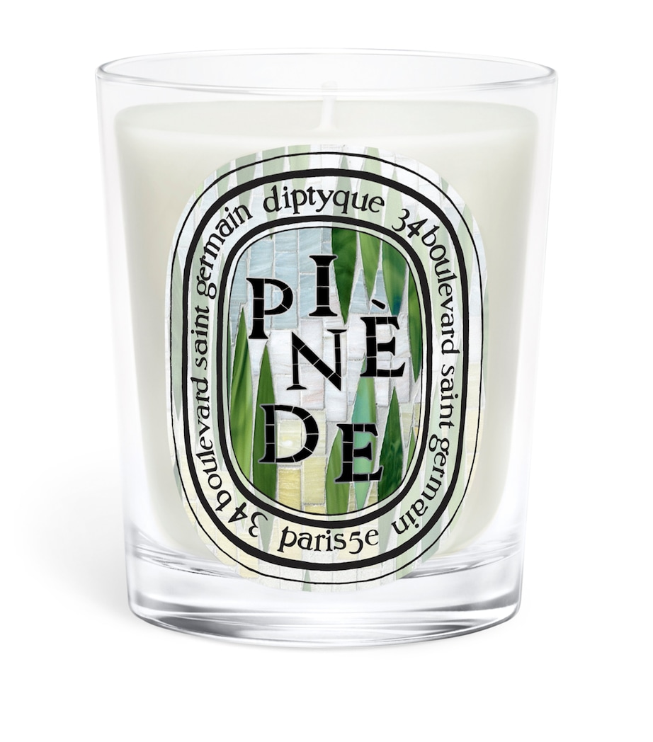 Diptyque Pinede Candle (190g) Image 1