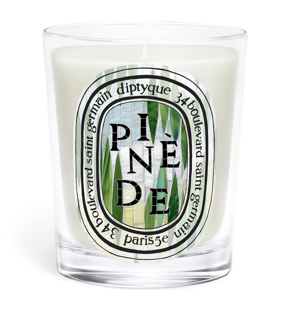 Diptyque Pinede Candle (190g)