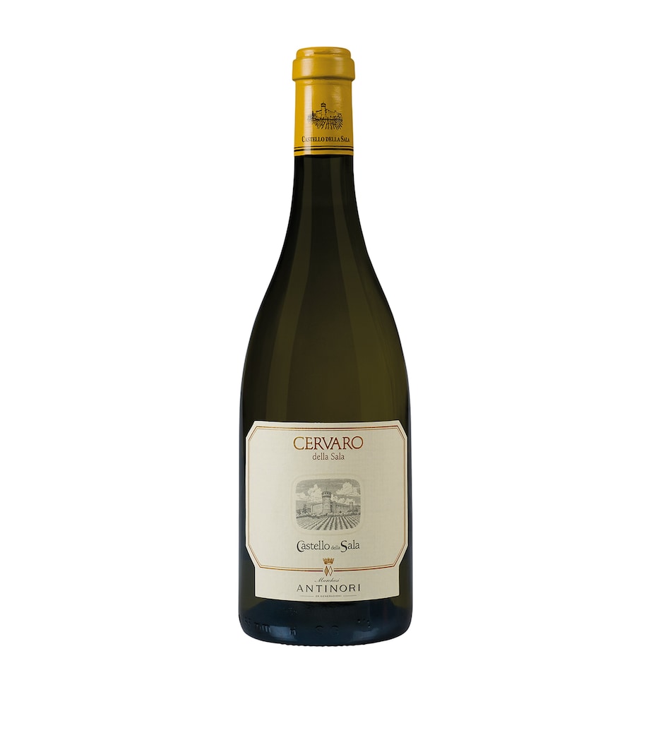 Cervaro della Sala 2022 (75cl) - Umbria, Italy WHITE Image 1
