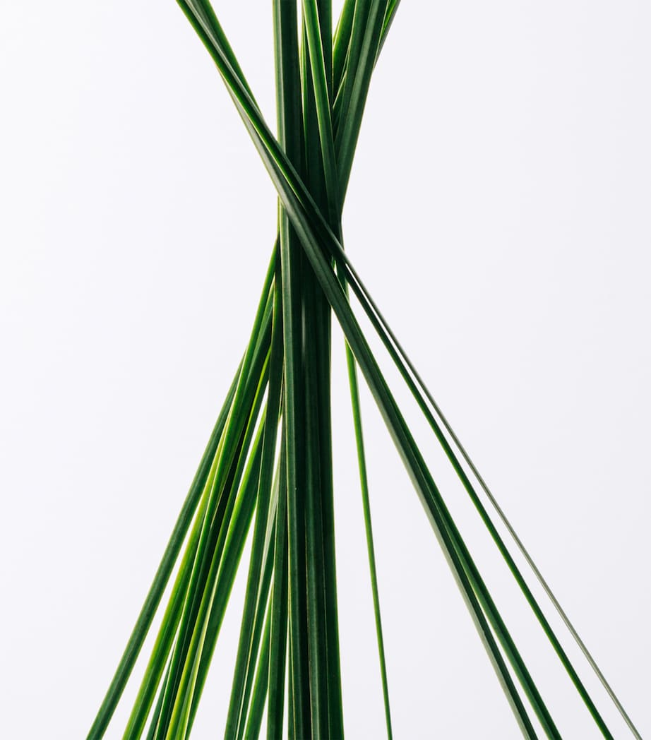 Esencia Eau de Toilette (150ml) NO COLOUR Image 3