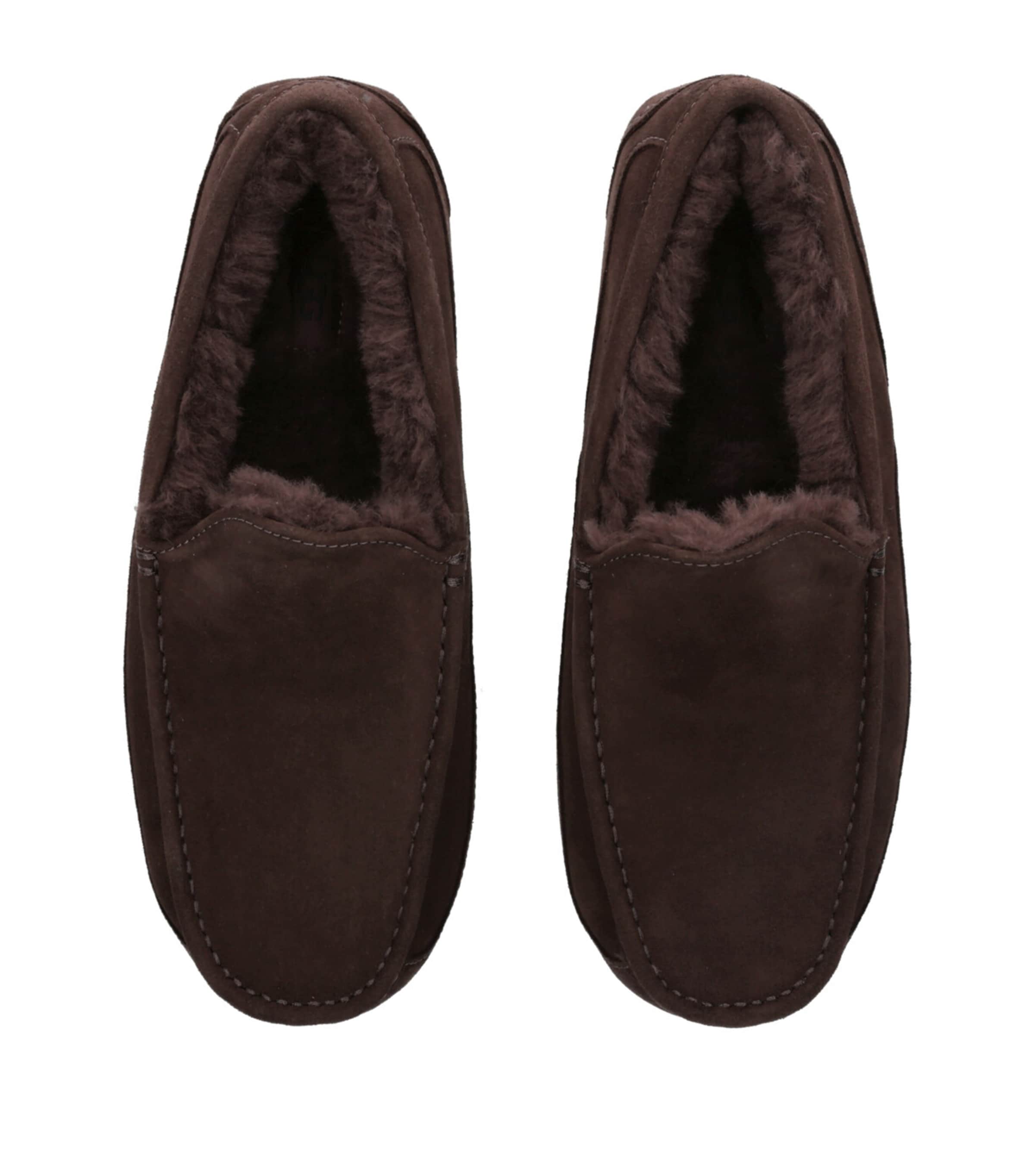 UGG Ascot Slippers Brown/oth Image 4