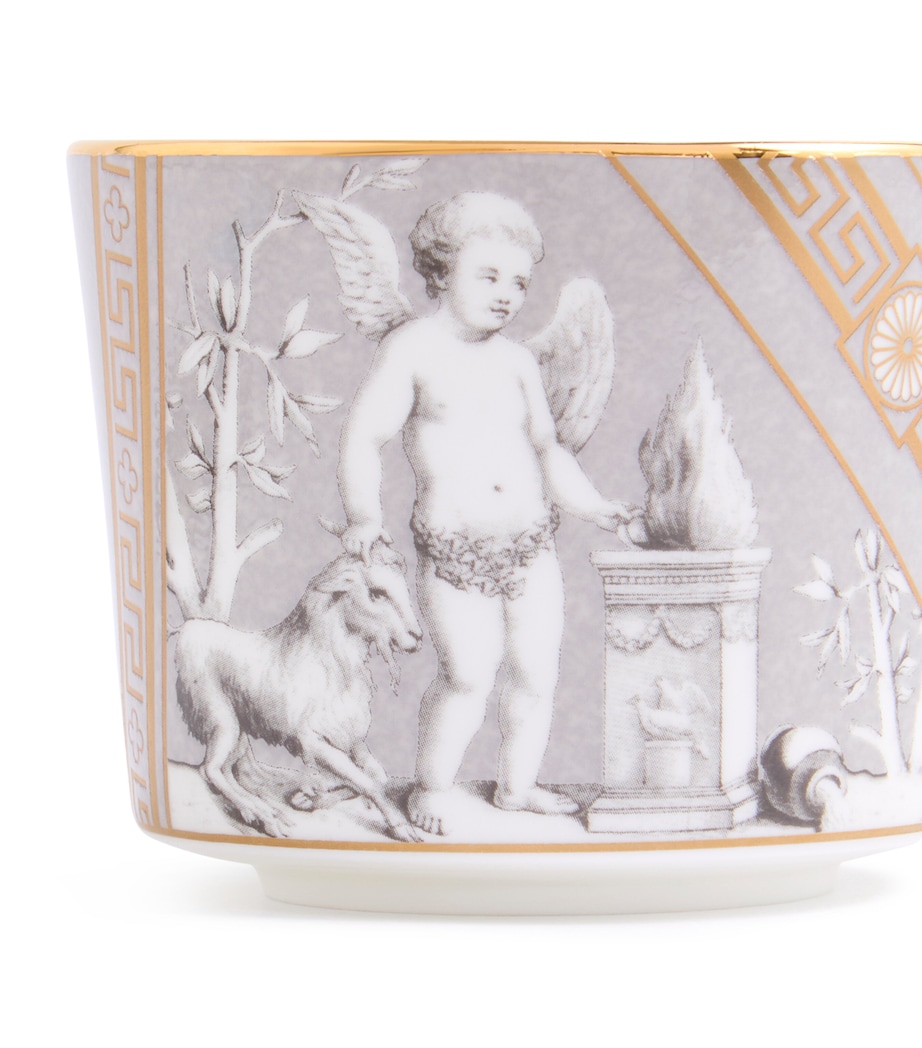 Set of 2 Renaissance Teacups and Saucers GREY Image 5