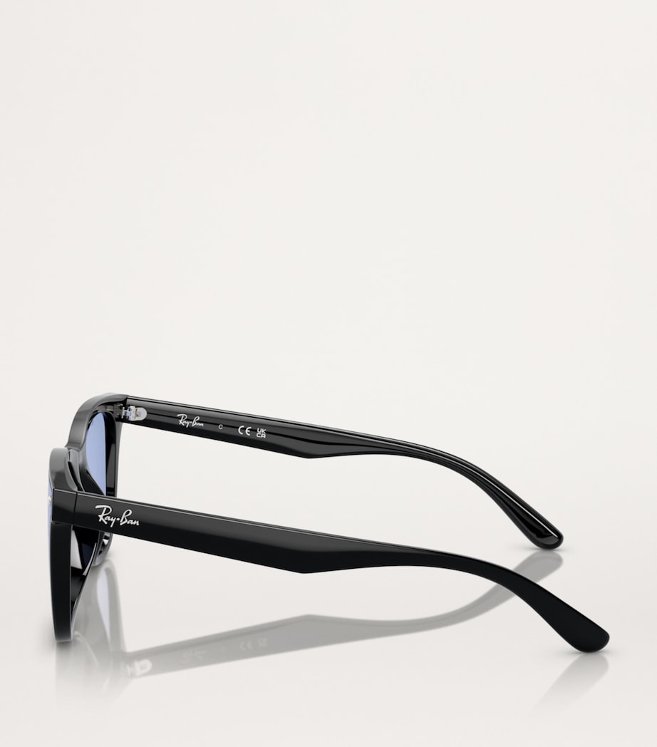Injected RB4420 Sunglasses 601/80 Image 3