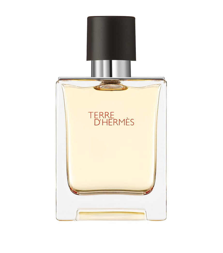 Terre D’Hermès Eau de Toilette (50Ml) NO COLOUR Image 1