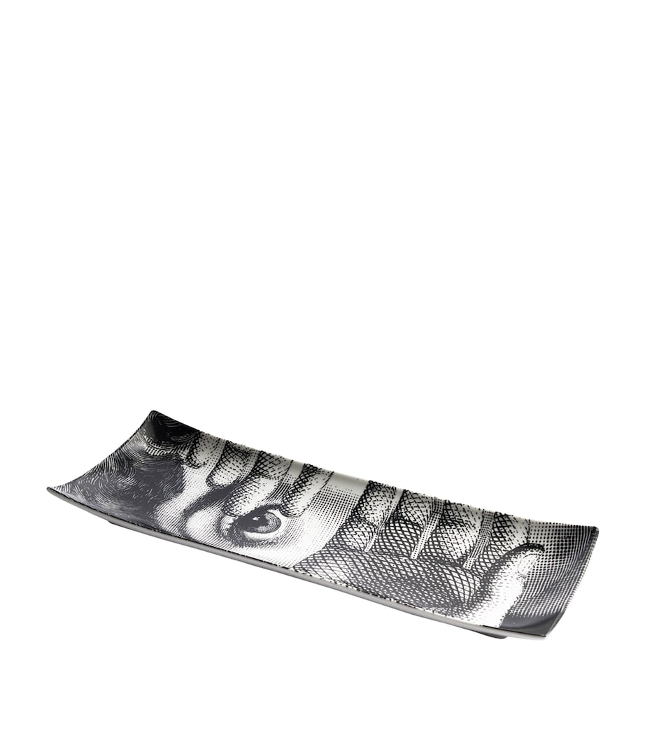 Tema e Variazioni No. 154 Tray (38cm x 14.5cm) MULTI Image 2