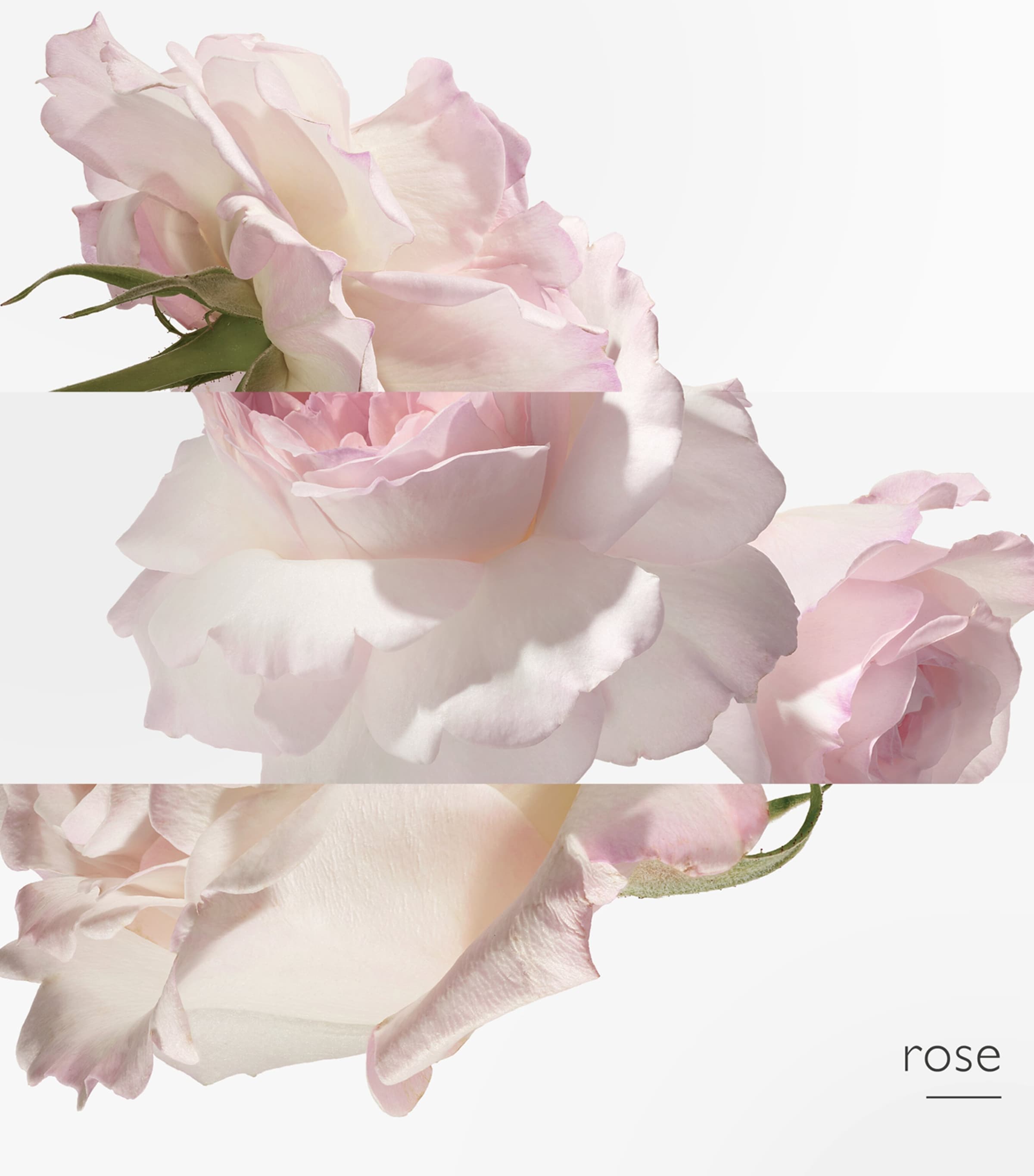 Twilly d'Hermès Eau Poivrée Eau de Parfum (85ml) NO COLOUR Image 5