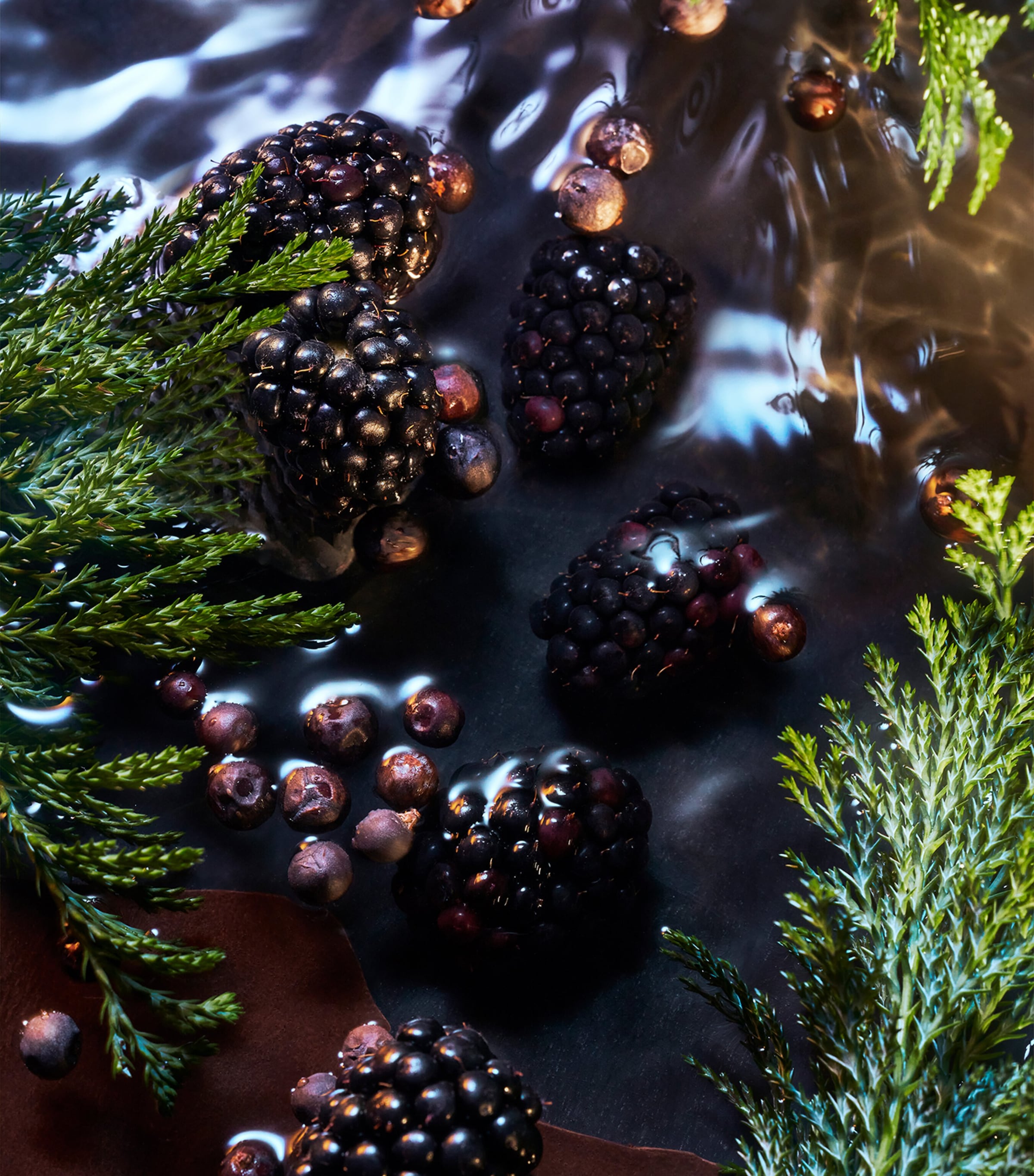 Elysium Noir Eau de Parfum (100ml) NO COLOUR Image 2