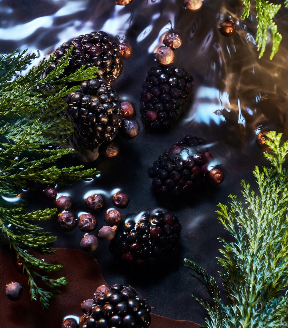 Elysium Noir Eau de Parfum (100ml) NO COLOUR Image 2